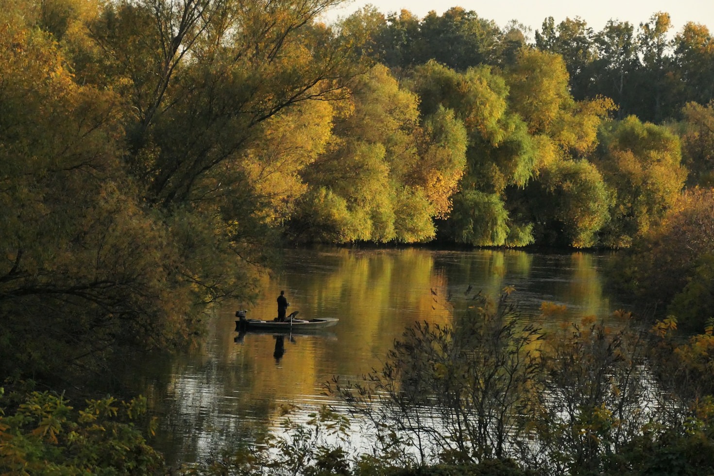 The Best Baits for Freshwater Angling